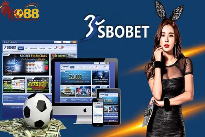 Hướng dẫn sử dụng Warungharta để truy cập SBOBET trên điện thoại