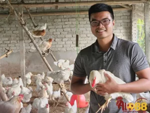 Cân bằng dinh dưỡng