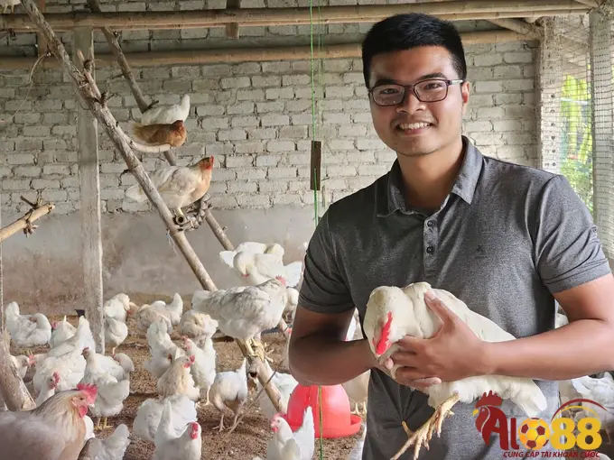 Cân bằng dinh dưỡng